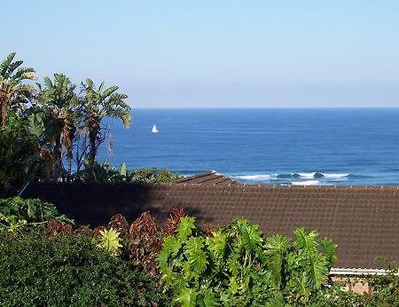 Birdcage B&B Amanzimtoti Extérieur photo