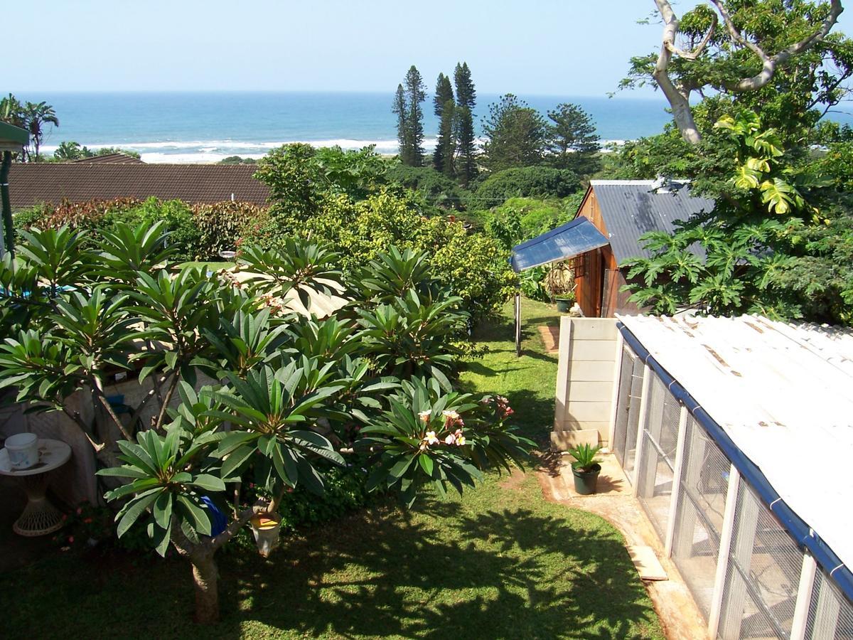 Birdcage B&B Amanzimtoti Extérieur photo